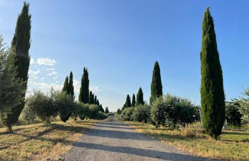 Tenuta Agave - Foto 17