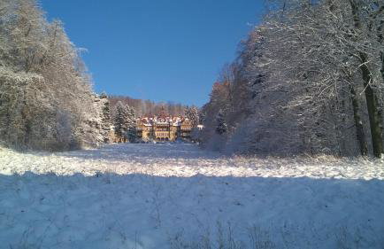 Wysokie Łąki domki w górach - Foto 55