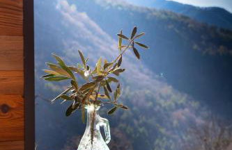 La sittelle - Foto 7