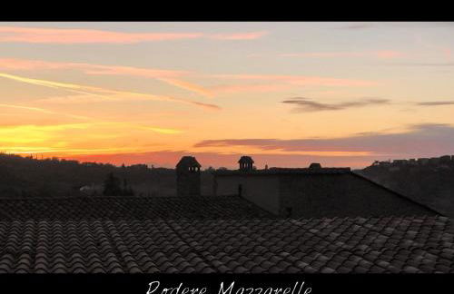 Podere Mazzarelle - Foto 16