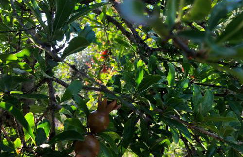 Beautiful Farm House - Foto 15