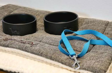 Ferienhaus Anni & Fritz - Foto 7