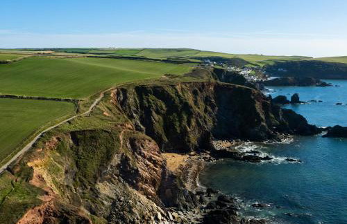 Sea Campion - Foto 37