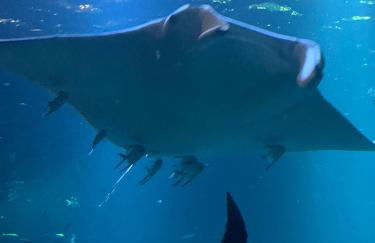 Appartement de 100m² bien situé - Foto 5