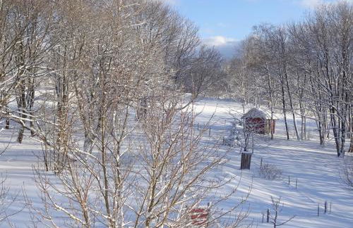 Ferienwohnung Schneemann - Foto 62