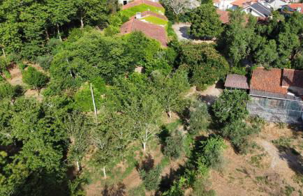 Quinta da Lapa do Gato - Foto 72