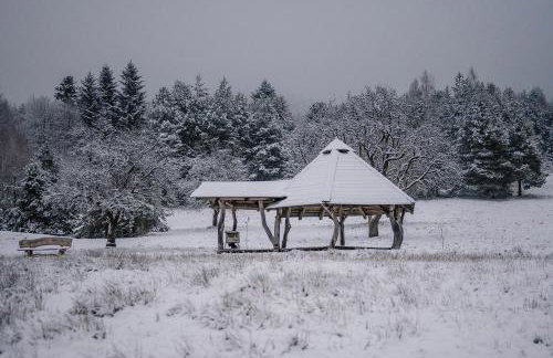 Przystanek Ropienka Leśniczówka - Foto 4