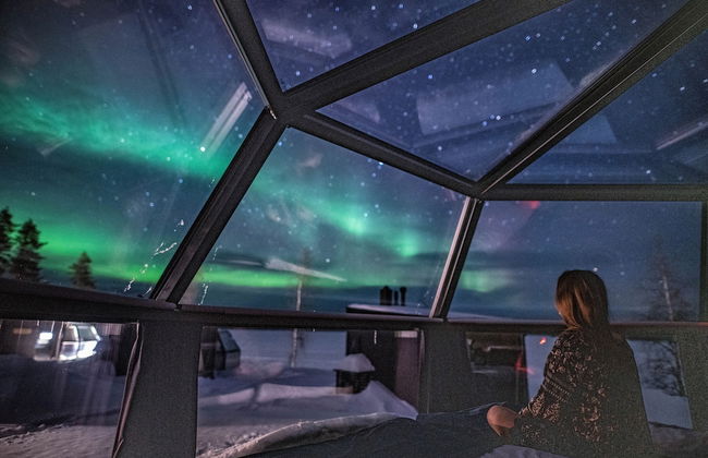 Ranua Resort Arctic Igloos - Foto 41