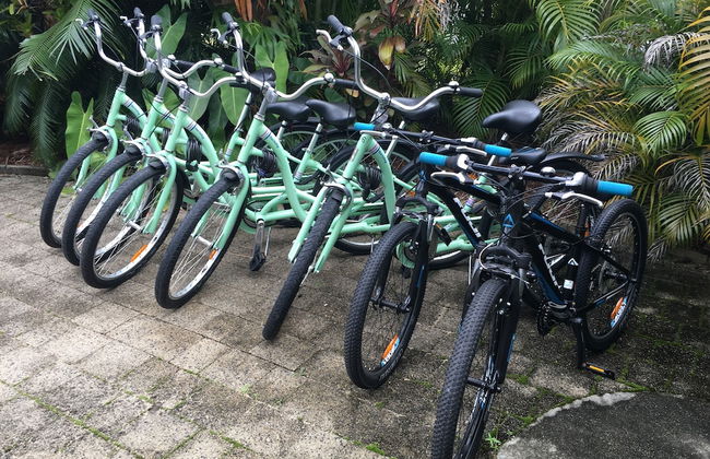 Oasis Inn Cairns - Photo 48