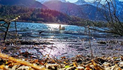 Gästehaus Simon - Foto 4