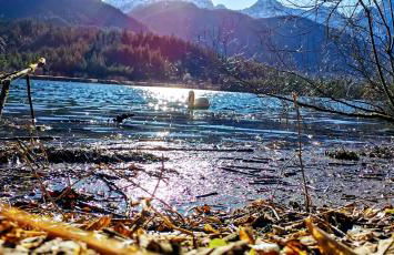 Gästehaus Simon - Foto 4