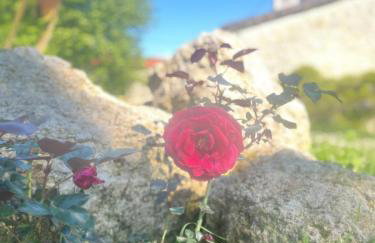 Le Merlat Gite - Foto 48