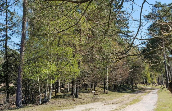 Bungalow With Fireplace, not far From Assen - Photo 17