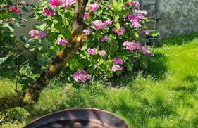 La Fontaine gîte de charme à 12min du Puy duFou - Photo 9