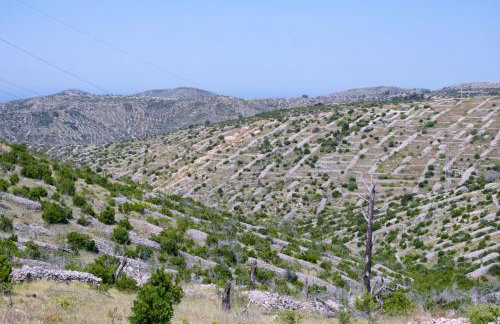 Secluded house with a swimming pool Brusje, Hvar - 12493 - Foto 17