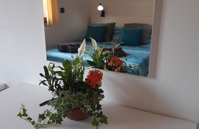 Casa Cao Appartamento L Ulivo - Foto 13