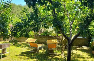 "Il Pollaio" guests house - Foto 39