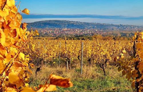 Feng Shui apartment in small farmhouse - Foto 33