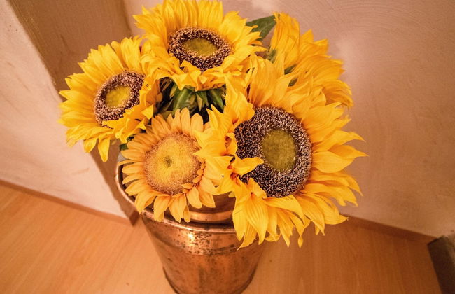 Apartment in Watou Near French Border - Foto 20