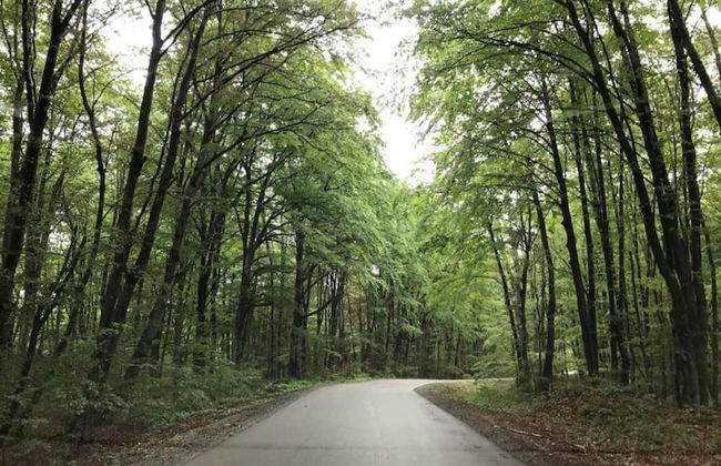 Delightful Holiday Home in Havidić Selo with Garden - Foto 38