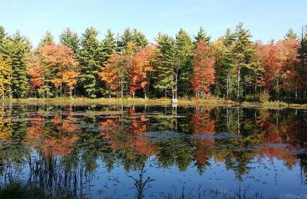 Pet-friendly, secluded, and peaceful pondside home near to Keene and Rindge NH - Foto 1