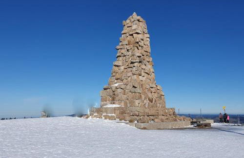 Enjoy Ferienwohnung Feldberg Grafenmatt - Foto 23