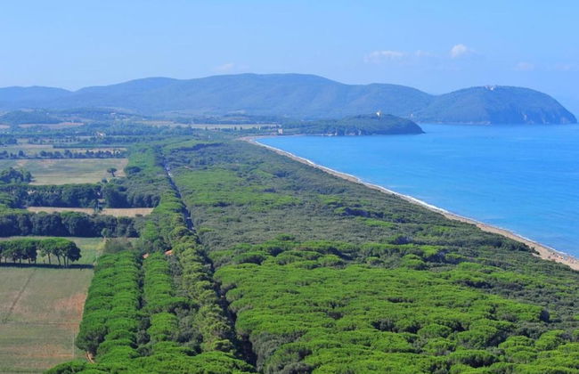 Farmhouse in Suvereto Near Etruscan Coast - Foto 36