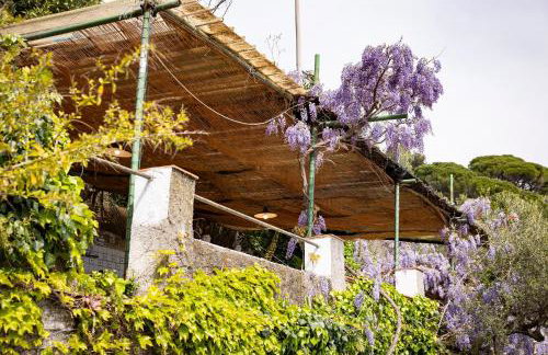 Il Nido a Portovenere - Foto 61