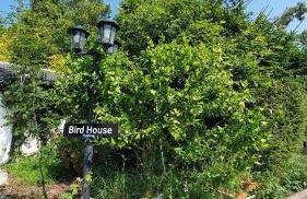 Farm House, Hirwaun Brecon Beacons with Games Barn - Photo 39