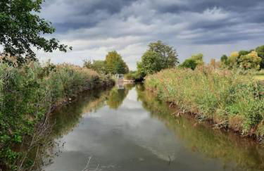 Ferienwohnung Schwörer bis 7 Personen - Foto 27