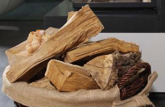 Strandhaus Buskam im Mönchgut auf Rügen - Foto 16