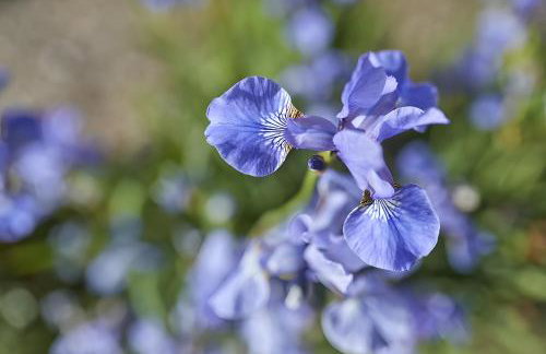 Gutshof Familie Gress - Foto 64