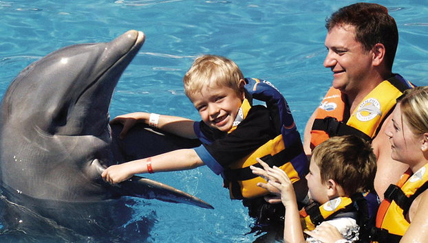 Nado con delfines en el Parque Aquaventuras - Foto 4