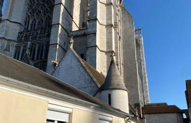 Appartement hyper-centre vue cathédrale - Foto 31