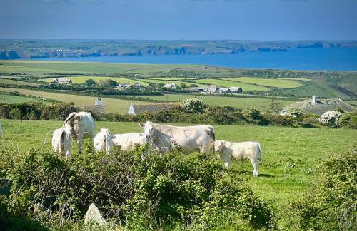 Old Chapel House - Foto 23