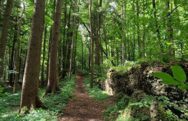 Holiday Appartement Markt Rettenbach - Foto 14