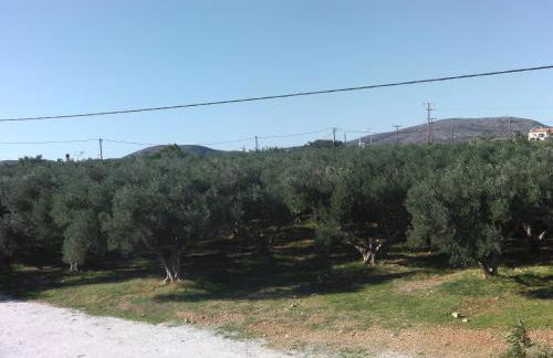 Serenity Hideaway - Photo 21