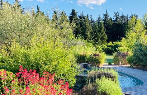 Le Nid de la Huppe - Foto 28