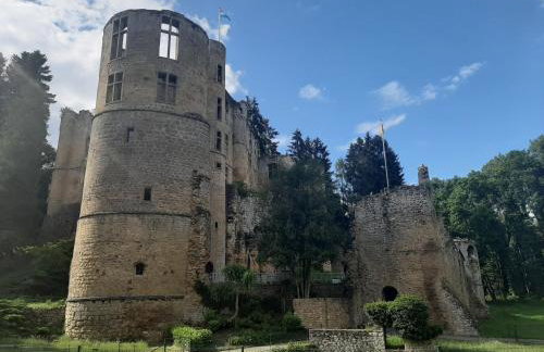Ferienhaus Chalet Cottage Ourtalblick 2km von Vianden-Lux - Foto 14