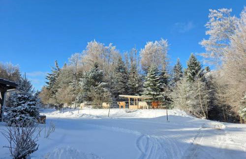 Gite les Baudy - group for 20 people - Foto 38