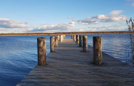 Ferienwohnung-Kormann - Foto 43