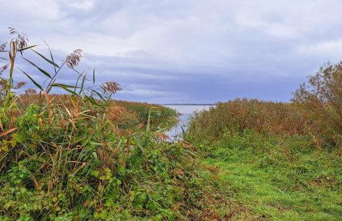 Pet Friendly Home In Osieki With Wifi - Foto 17