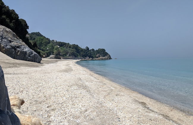 Daria's home at Pelion - Foto 45