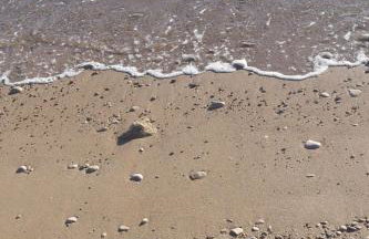 Apartment Sea apartment by Interhome - Foto 10