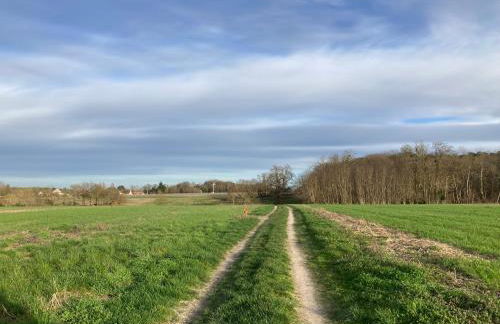 Charmant Gîte au calme, coeur Touraine, proche Chenonceaux - Foto 22