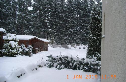 Blechleppel - Die Pension im Harz - Foto 12