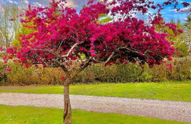 Maison normande sur parc arboré ambiance bucolique - Foto 51