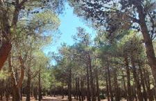 L'oasis de port Fitou - Foto 20