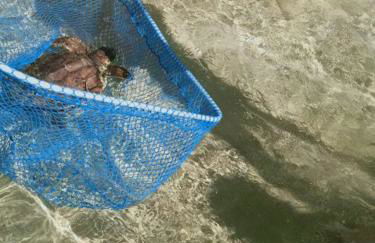 Fronte Mare - Foto 46