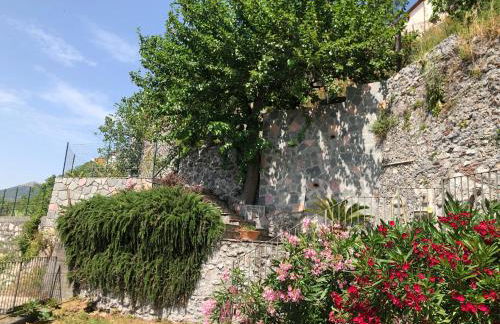 Un Capriccio-Sambuco - Foto 8